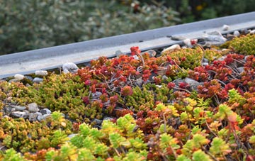 the cost of Balwest green roof installation