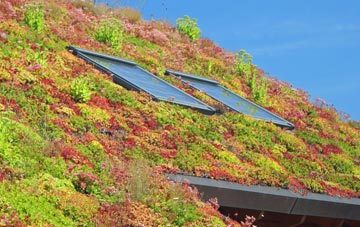 Balwest living roof systems
