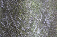 Balwest fibreglass roof work